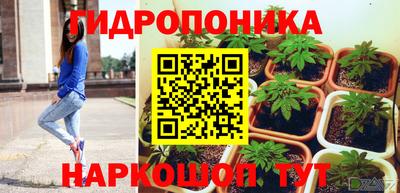сатива Балахна