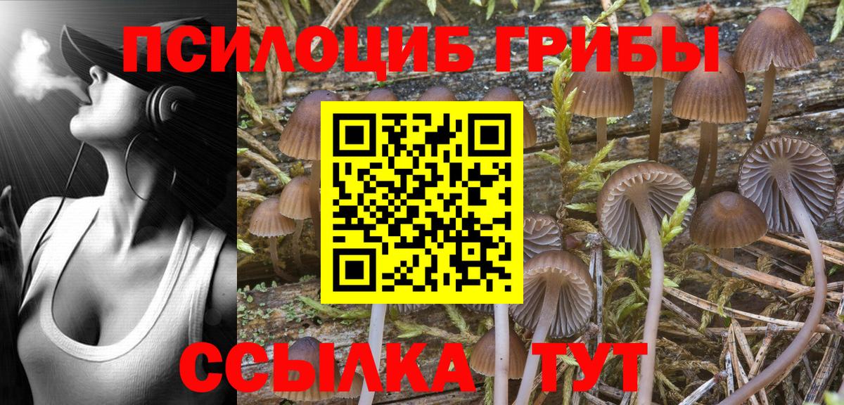 Галлюциногенные грибы прущие грибы Дедовск